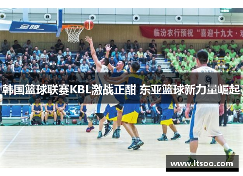 韩国篮球联赛KBL激战正酣 东亚篮球新力量崛起