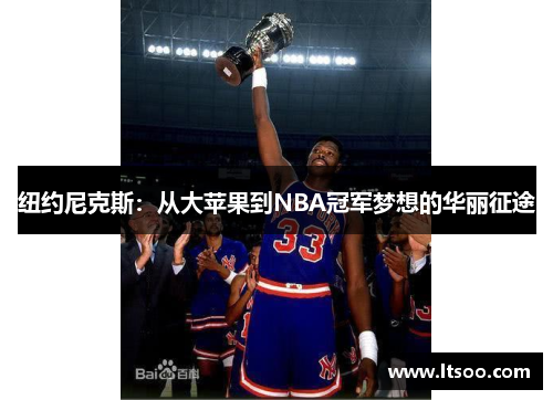 纽约尼克斯：从大苹果到NBA冠军梦想的华丽征途